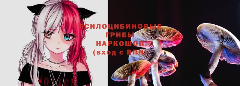 хочу наркоту  Миллерово  МЕГА онион  Псилоцибиновые грибы Psilocybe 